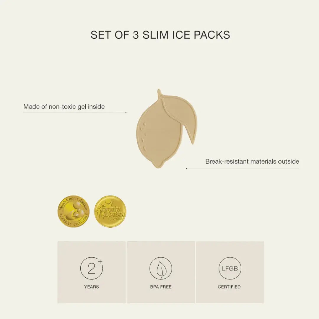 Ice packs - set of 3 - Spaceship Dusty Blue CITRON