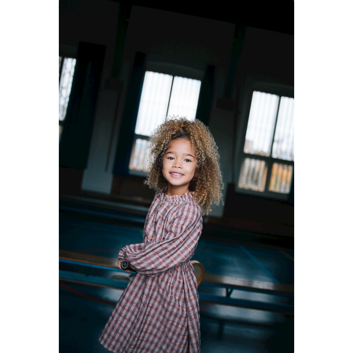 Pennie dress fancy glitter check
