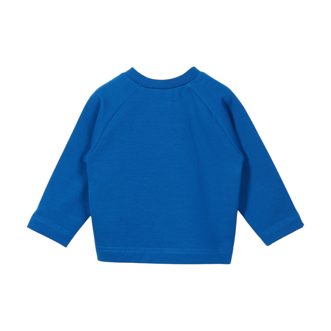 Blue Organic Cotton Sweatshirt & Sweatpants