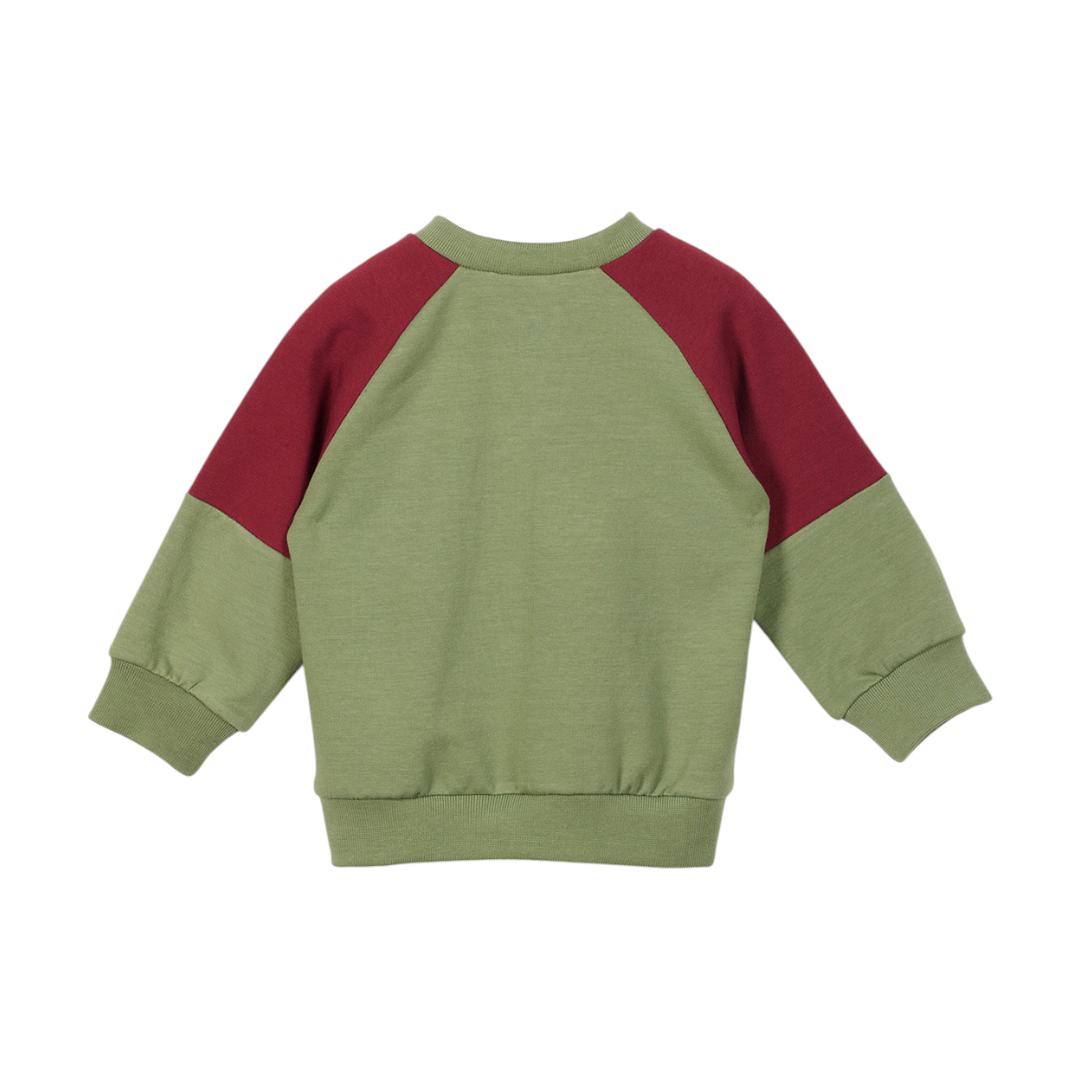 Wild Pistachio Organic Cotton Sweatshirt & Sweatpants
