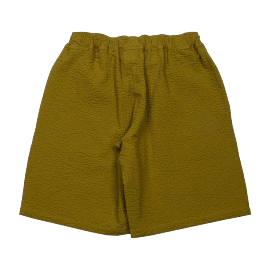 Seersucker Shirt & Shorts