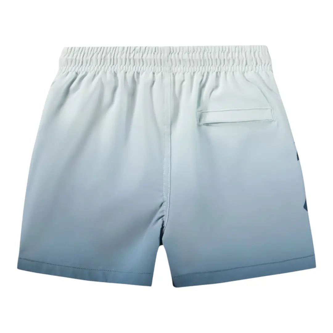 Boys Palm Breeze Blue Swim Shorts Molo