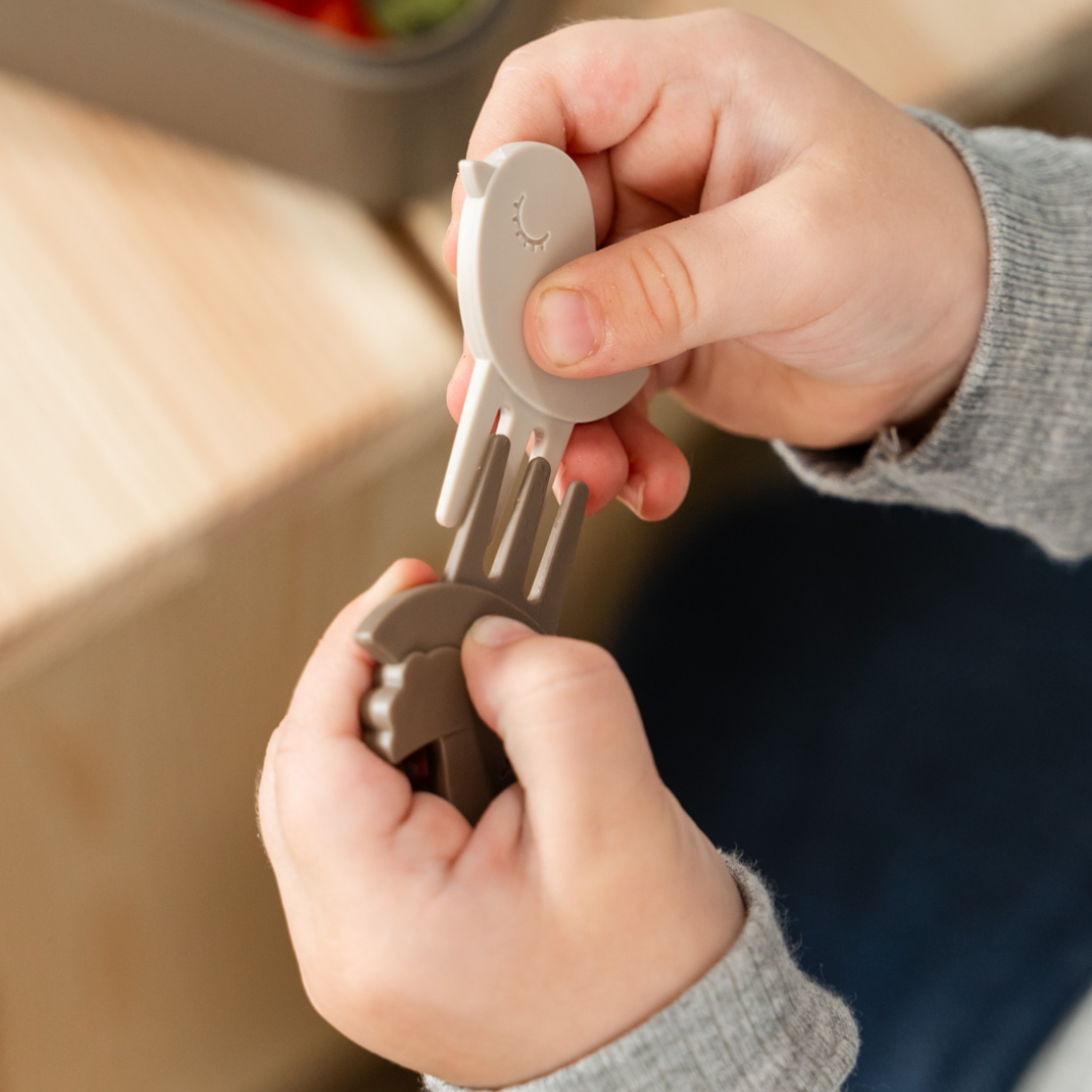 Snack Box with Divider & Picks Explorer Sand