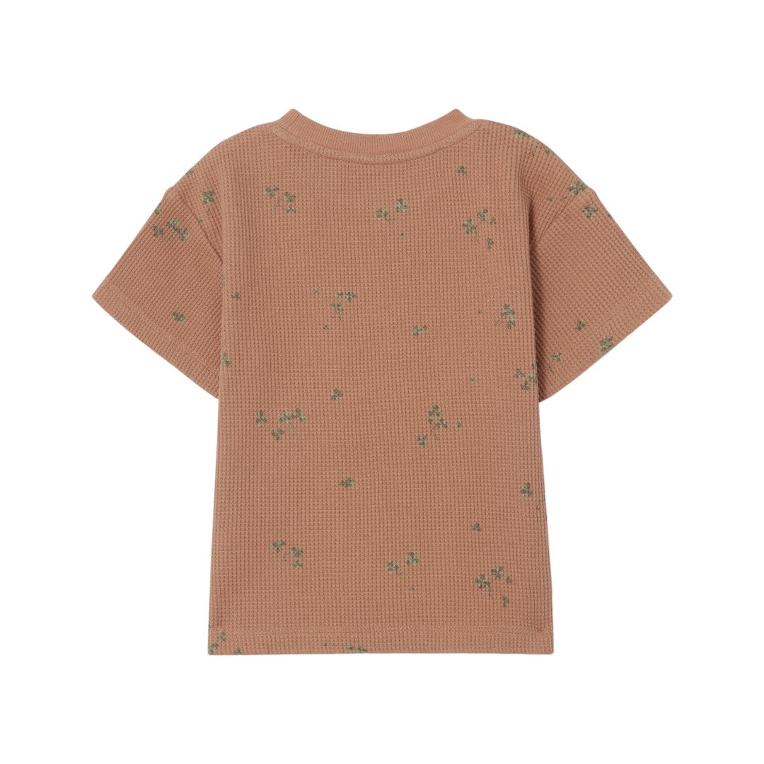 T-shirt & Shorts - Sorrel Chestnut