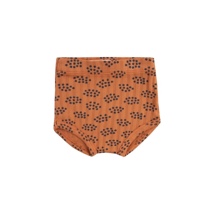 Forget Me Not Body & Bloomer
