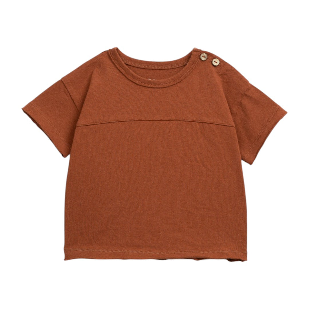 Brown Jersey T-shirt & Desert Chamaleon Swim Shorts
