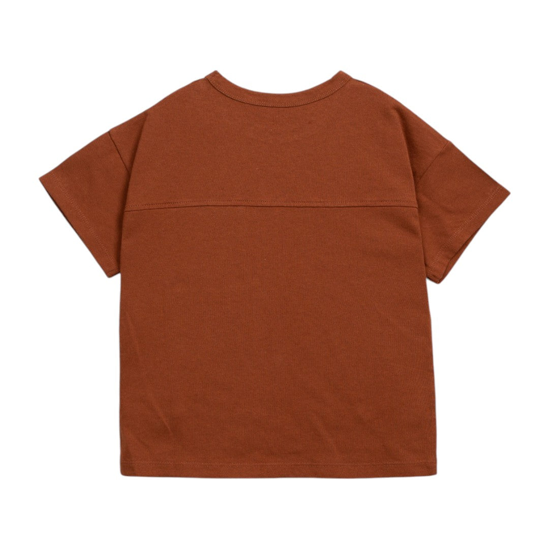 Brown Jersey T-shirt & Desert Chamaleon Swim Shorts