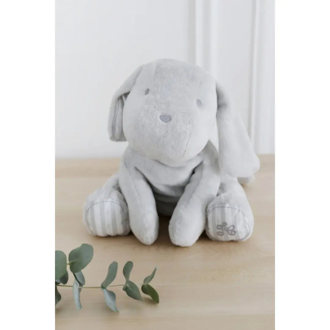 Lucien The Dog 35cm - Grey TARTINE ET CHOCOLAT