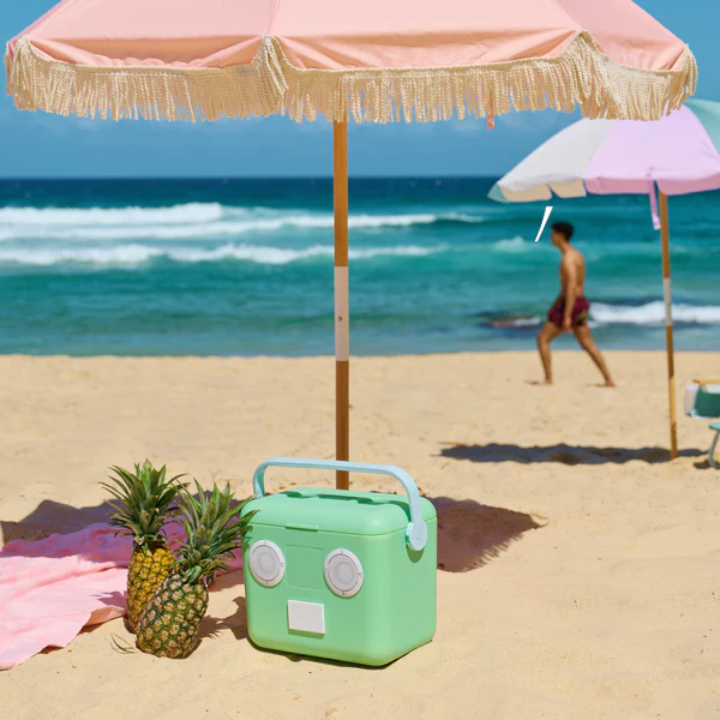 Beach Cooler Box Sounds Mint