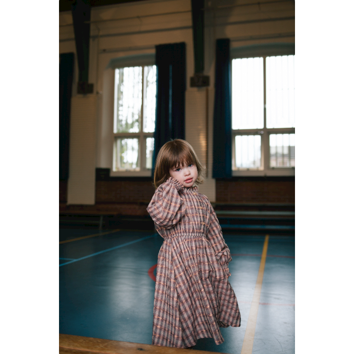 Pennie dress fancy glitter check