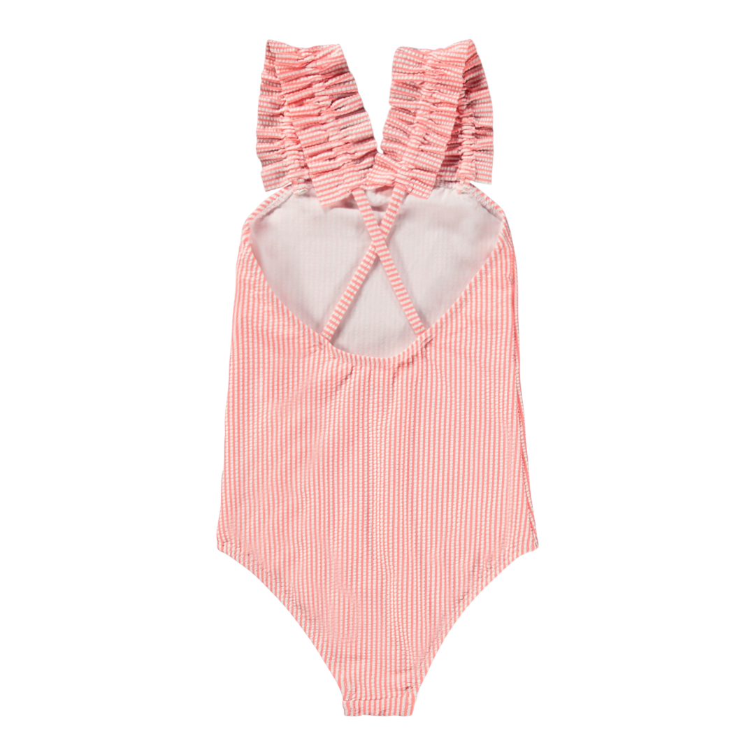 Girls Meadow Stripe Swimsuit
