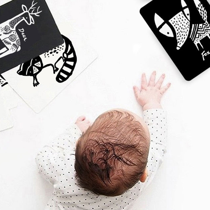 Baby Animal Collection Art Cards for Baby