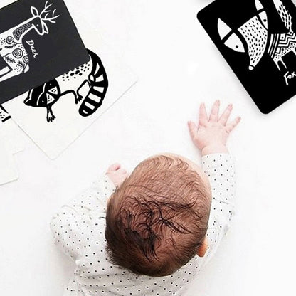 Baby Animal Collection Art Cards for Baby