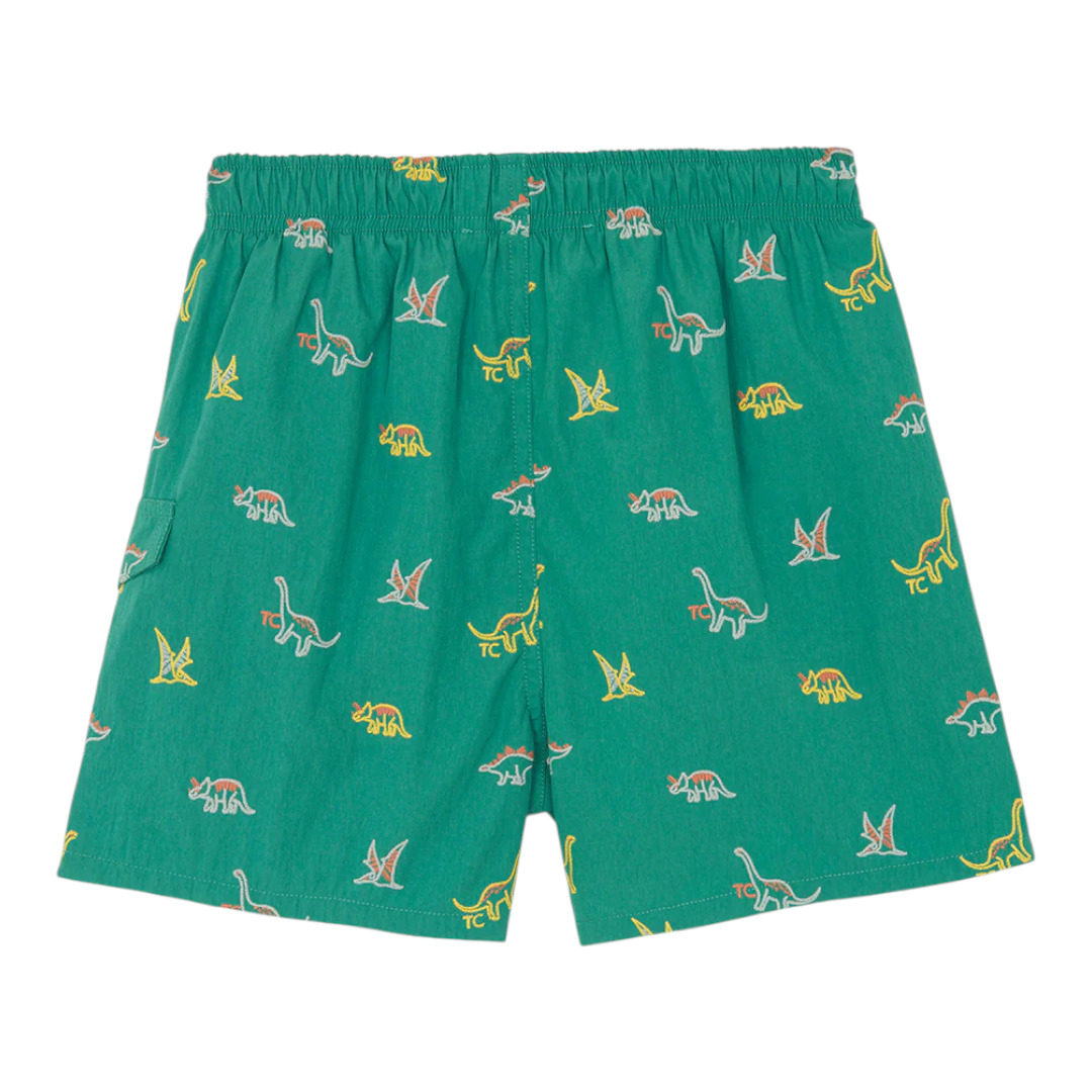 Boys Green Dinosaur Print Swim Shorts