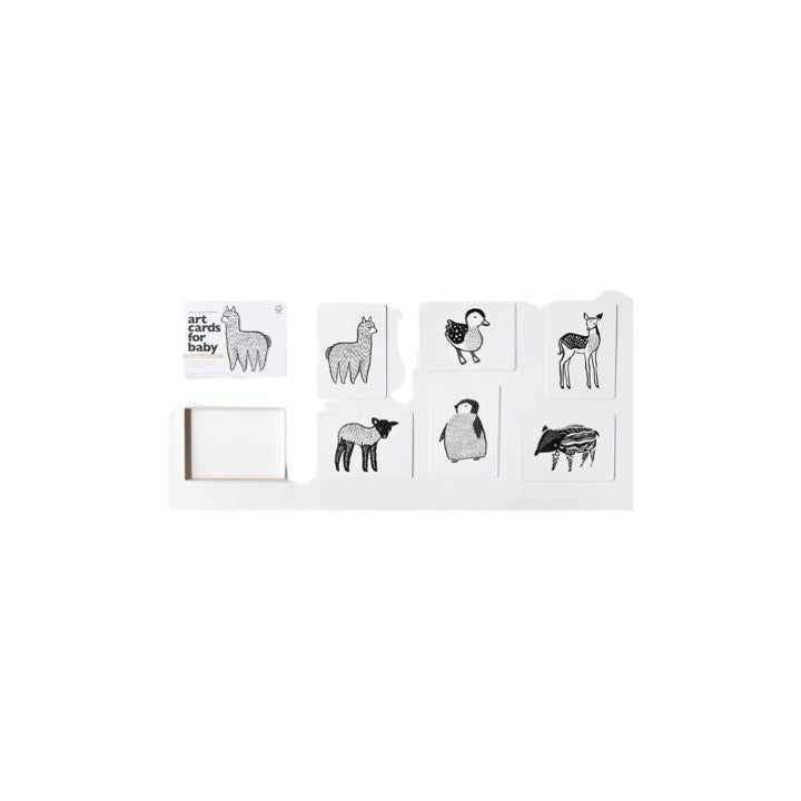 Baby Animal Collection Art Cards for Baby