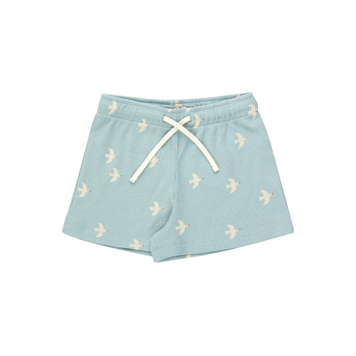Birds Short