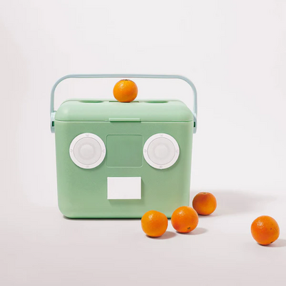 Beach Cooler Box Sounds Mint