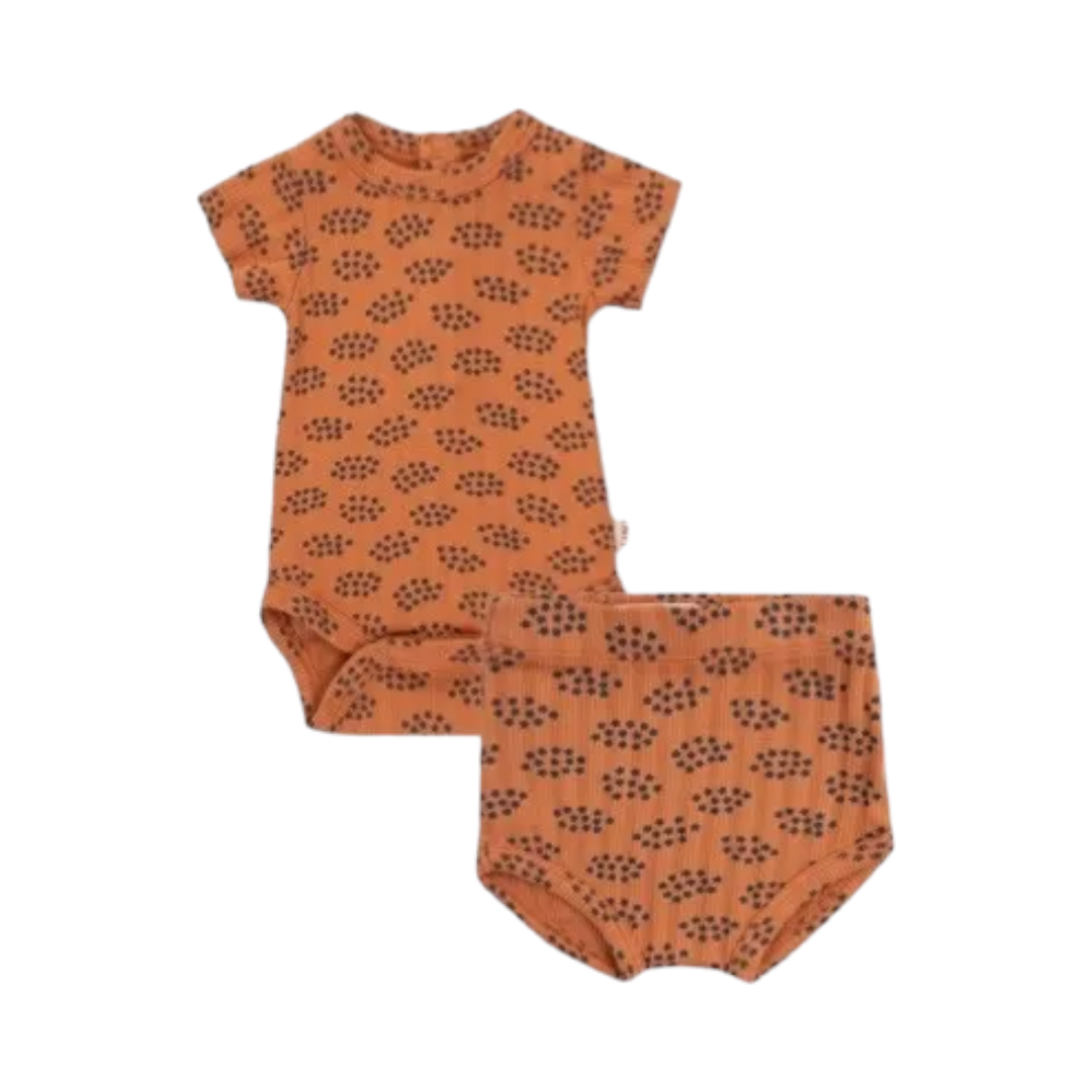 Forget Me Not Body & Bloomer