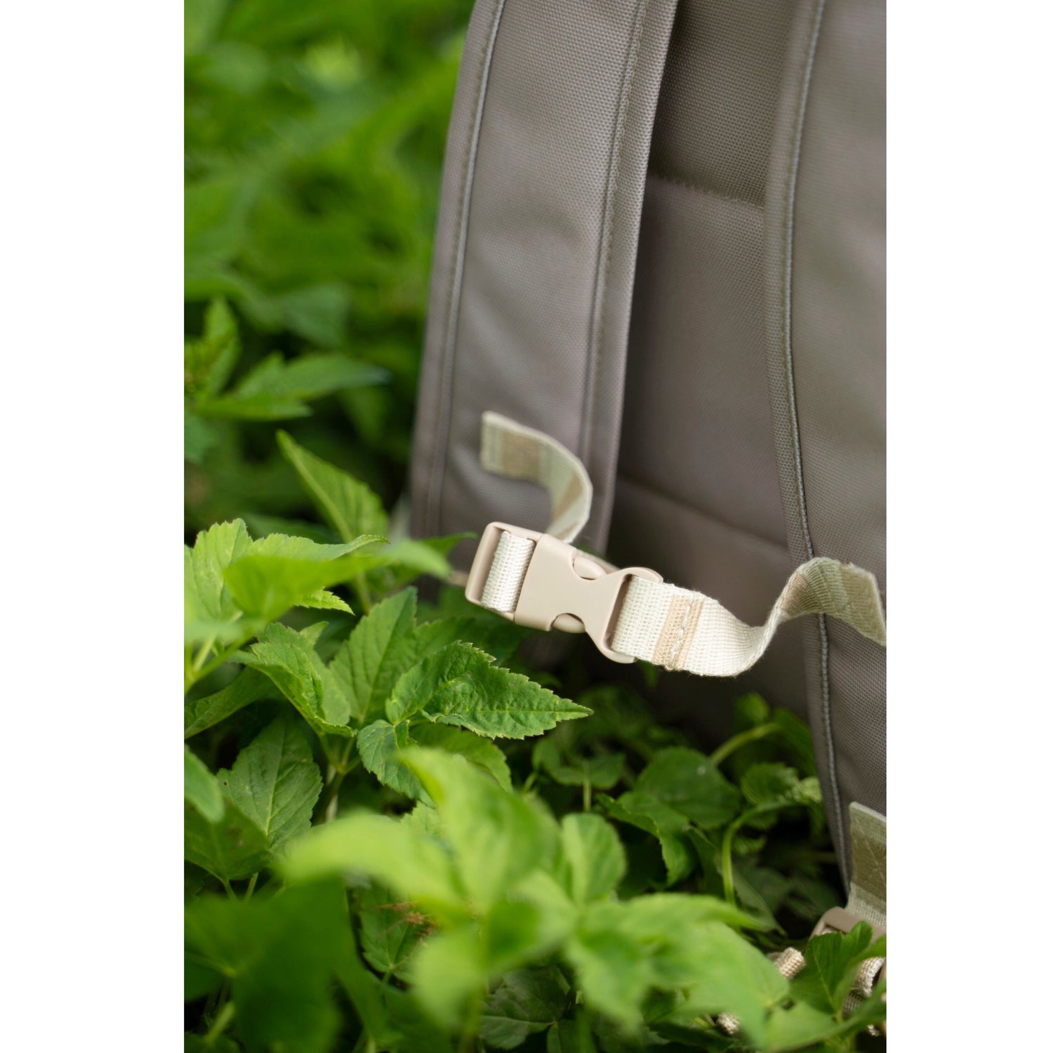 Lil Bunnies - The Collective kids backpack in sand colour with adjustable strap and buckle, set in green foliage.