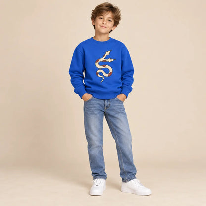 Sweater With Print Blue - 7Y boy lookbook 1