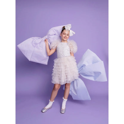 Silver Spoon Tutu Dress - French Silver